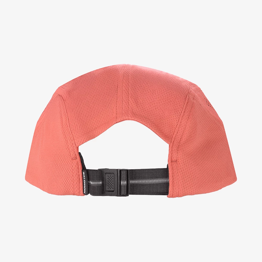 image-product-hover