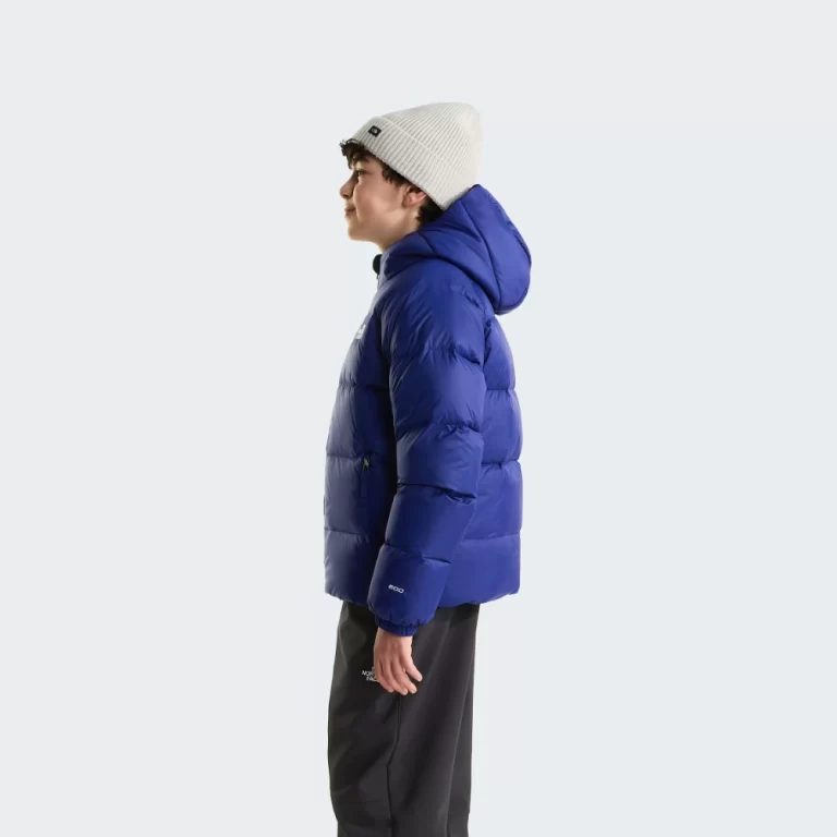 The North Face Boys’ Hydrenalite™ Down Hooded Jacket – Bold Blue thumbnail 3